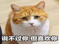 义乌市湾柑电子商务商行
