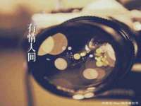 义乌市湾柑电子商务商行