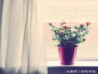 义乌市湾柑电子商务商行