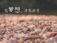 义乌市湾柑电子商务商行