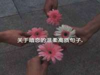 义乌市湾柑电子商务商行