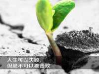义乌市湾柑电子商务商行