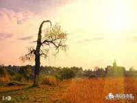 义乌市湾柑电子商务商行