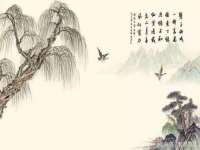 义乌市湾柑电子商务商行