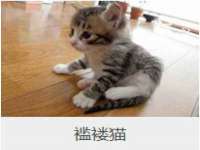 义乌市湾柑电子商务商行