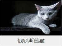 义乌市湾柑电子商务商行