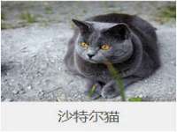 义乌市湾柑电子商务商行
