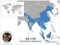 义乌市湾柑电子商务商行