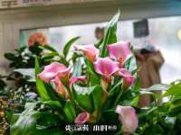 义乌市湾柑电子商务商行