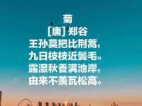 义乌市湾柑电子商务商行