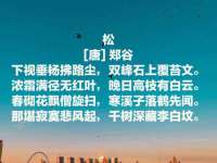 义乌市湾柑电子商务商行