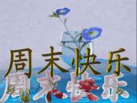 义乌市湾柑电子商务商行