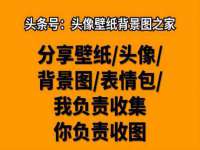 义乌市湾柑电子商务商行