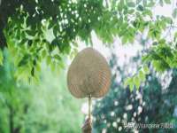 义乌市湾柑电子商务商行