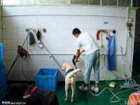 义乌市湾柑电子商务商行