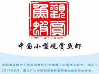 义乌市湾柑电子商务商行
