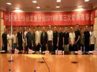 义乌市湾柑电子商务商行