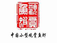 义乌市湾柑电子商务商行
