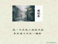 义乌市湾柑电子商务商行