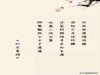 义乌市湾柑电子商务商行