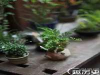 义乌市湾柑电子商务商行