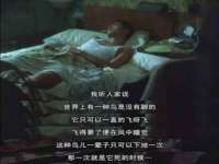 义乌市湾柑电子商务商行