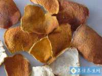 义乌市湾柑电子商务商行