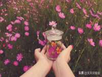 义乌市湾柑电子商务商行