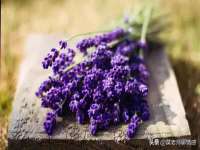 义乌市湾柑电子商务商行