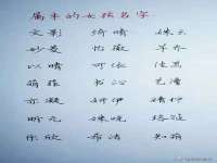 义乌市湾柑电子商务商行